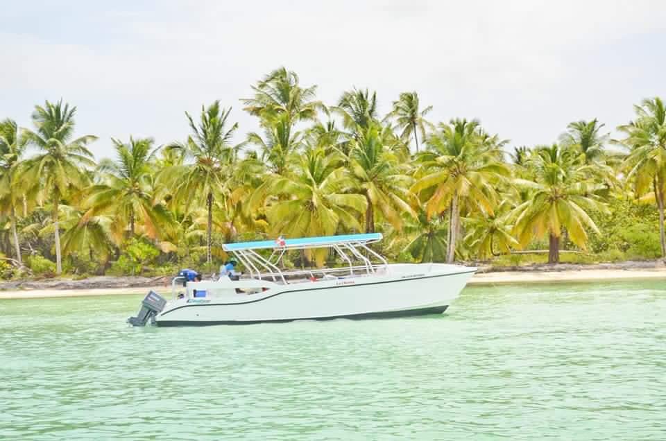 Isla Catalina Tour
