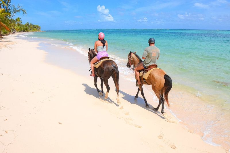 Horseback Riding