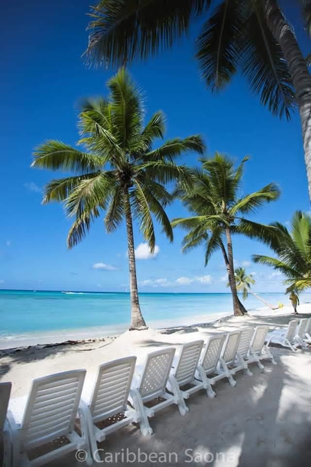 Saona Island Tour 4